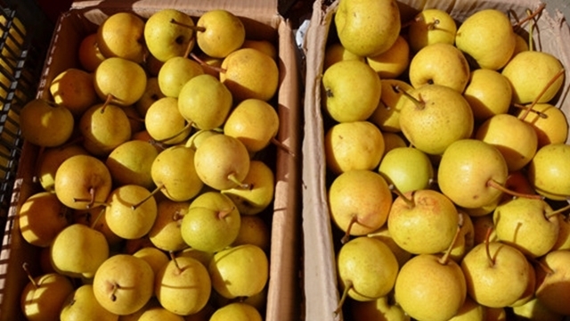 消炎|108岁乙肝老人爱吃的水果,防癌、消炎,1天1个,谁吃谁肝好