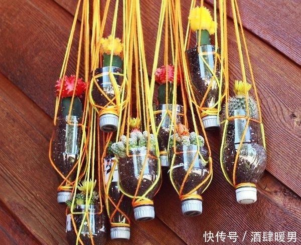 70岁的他，喜欢用“废品”养花种菜，月饼盒、泡沫箱都能用上！