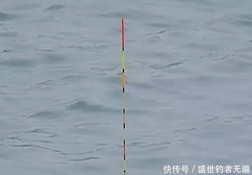 钓友们|高手教你如何钓浮,另外赠送钓浮技巧!——盛世三渔