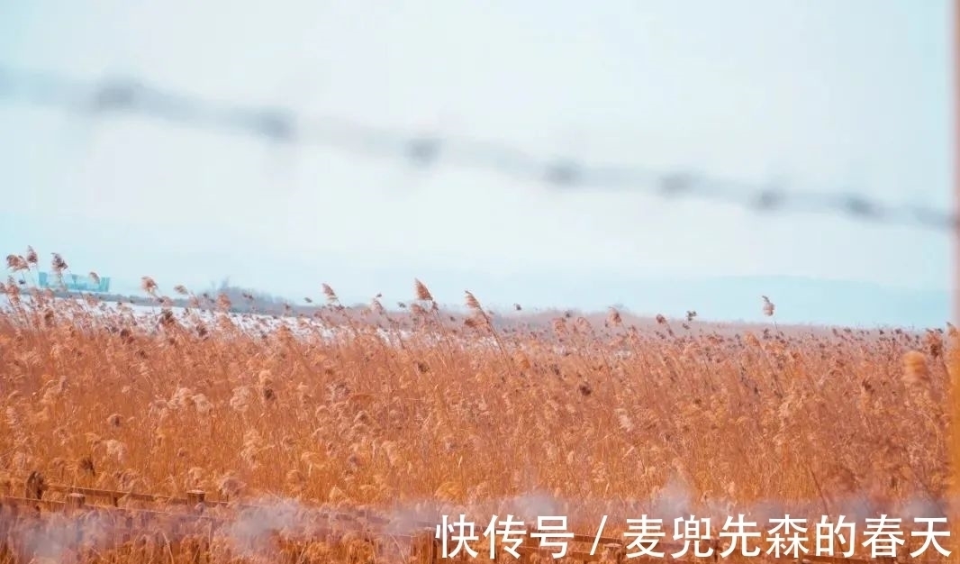 竹炉#今冬最闲适的一首诗,这种慢生活,太令人向往了!