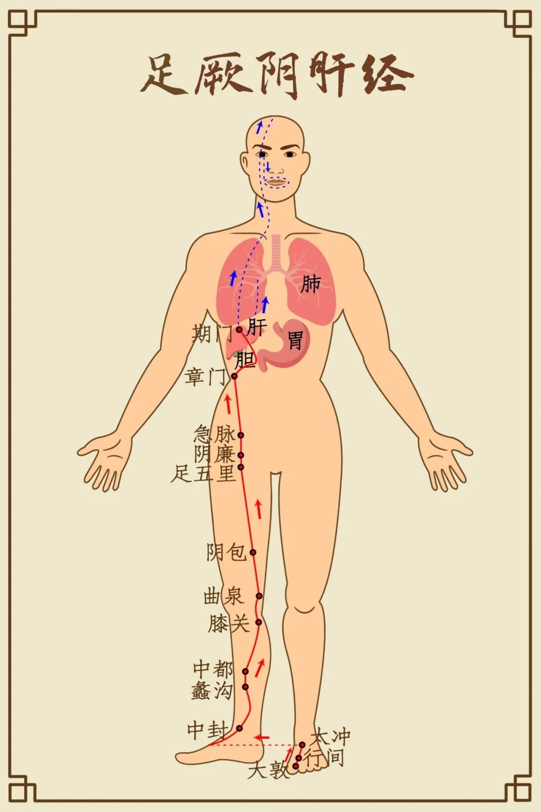 肝气|春季宜养肝，疏肝理气这样做