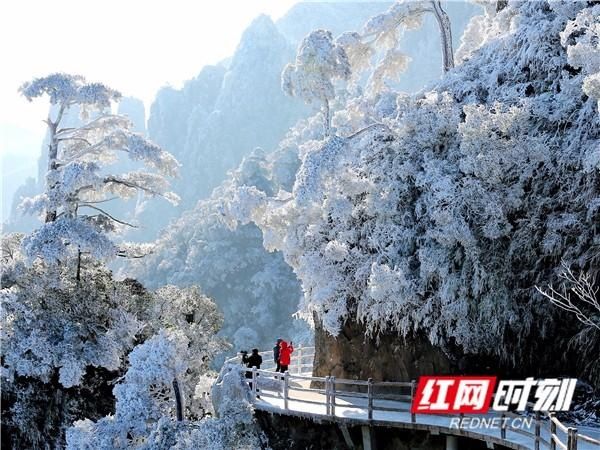 影像丨云游莽山 赏冰雪奇观