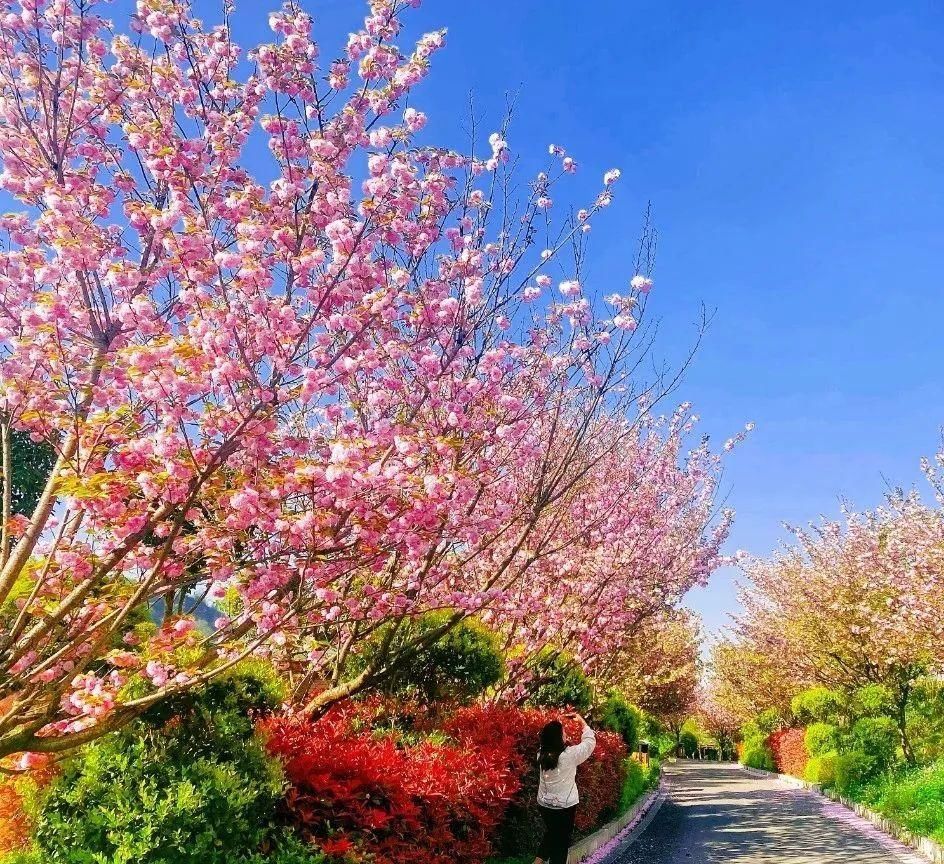 避暑|哒啦仙谷—夏日避暑胜地