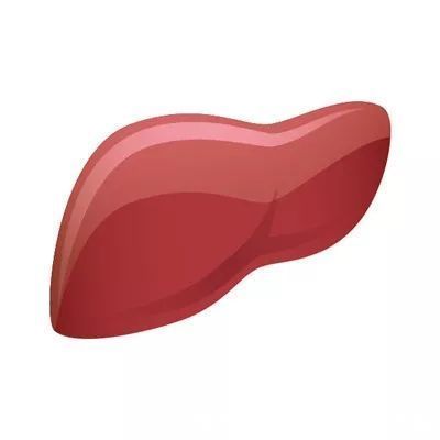 郁结|饭后“一不要”，睡前“二不要”，肝脏好得不得了！