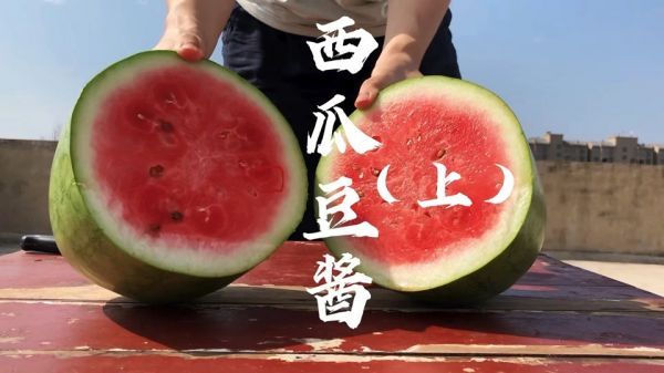 西瓜豆酱|「西瓜豆酱」河南媳妇将西瓜晒成酱，竟是一道非遗美食（上集）