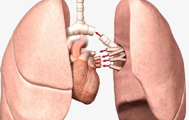 水果|肺结节能预防吗医生建议尽量多吃这3种水果,肺或感激你
