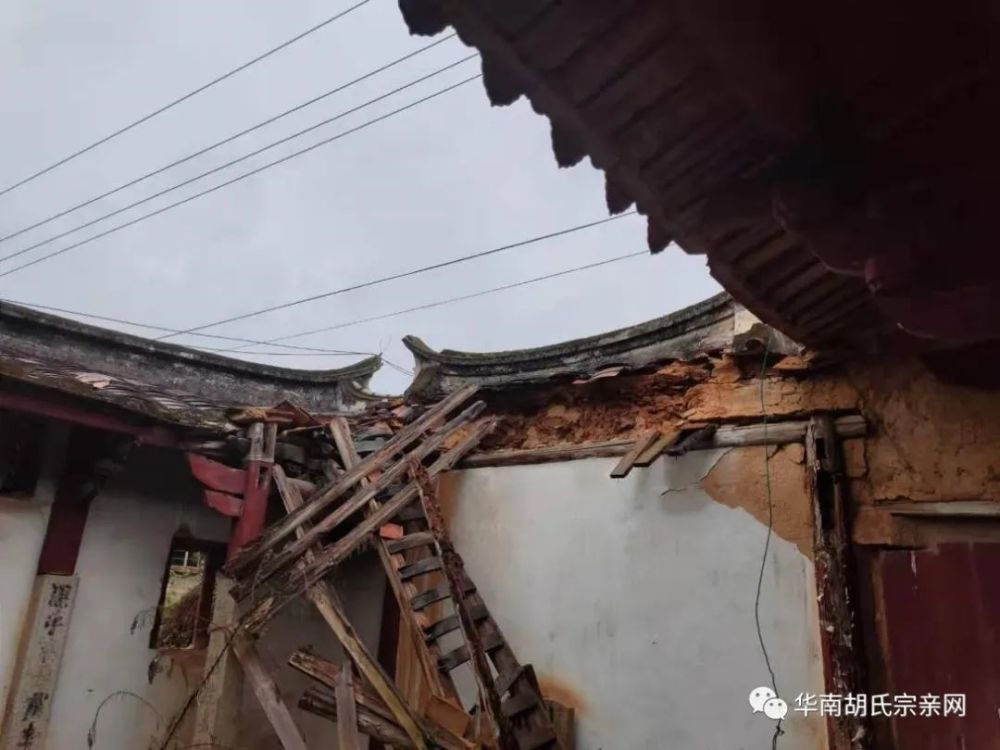 泉州|福建泉州寻根问祖