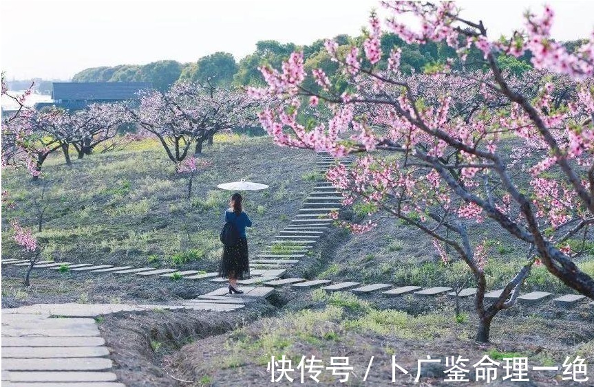 桃花运|婚姻八字看桃花运，明年桃花缘分旺，努力争取婚姻才能有着落