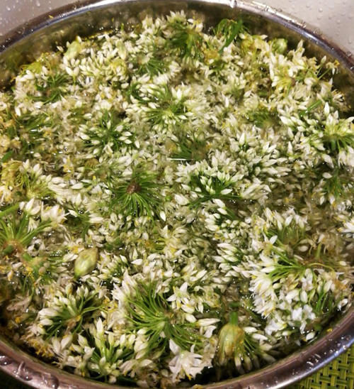 农村|腌韭菜花，只放盐容易坏，农村奶奶教我1招，能吃一年，越嚼越香