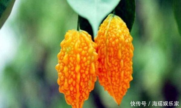 40歲女性不妨多吃3種食物,排毒養(yǎng)顏、延緩衰老,好處多多