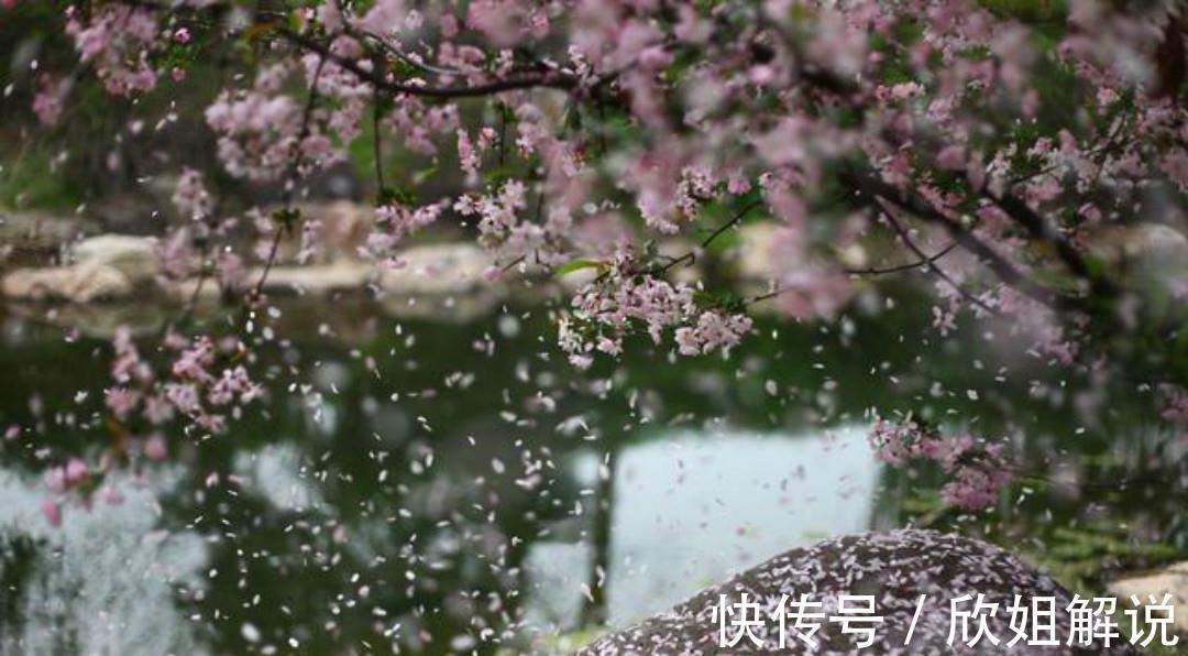 钱镠&晚唐高僧贯休这首《落花》，第一句就写得很美，蝶醉蜂痴一簇香