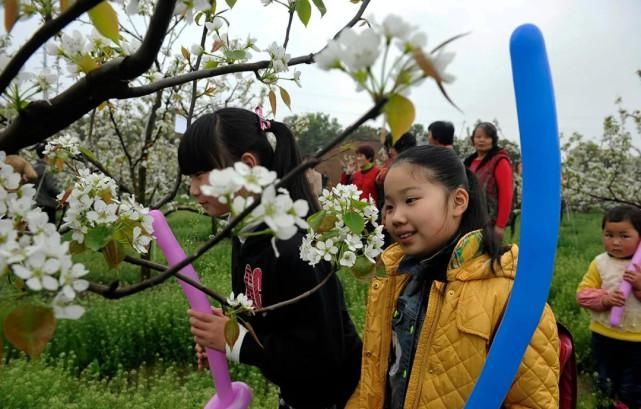 收藏！无锡春季赏花全攻略来了