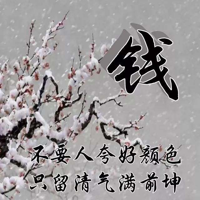  红梅|红梅花儿开，朵朵放光彩，千里冰霜脚下踩