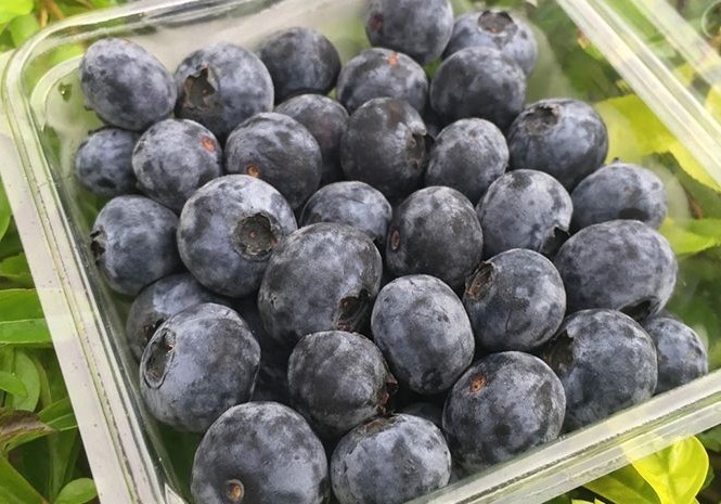 视力|在怀孕之后,有4种食物多吃改善视力,还有益睡眠,孕妈别舍不得