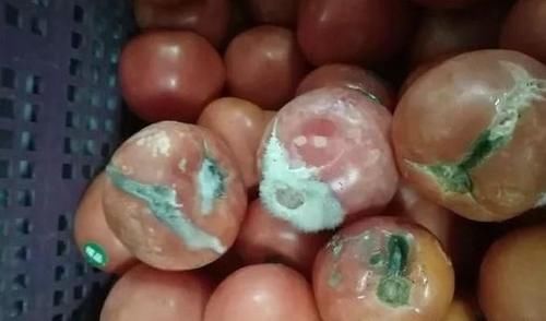 致癌物质|黄曲霉素“一级致癌物”！提醒：“5处”，易是黄曲霉素的藏身处