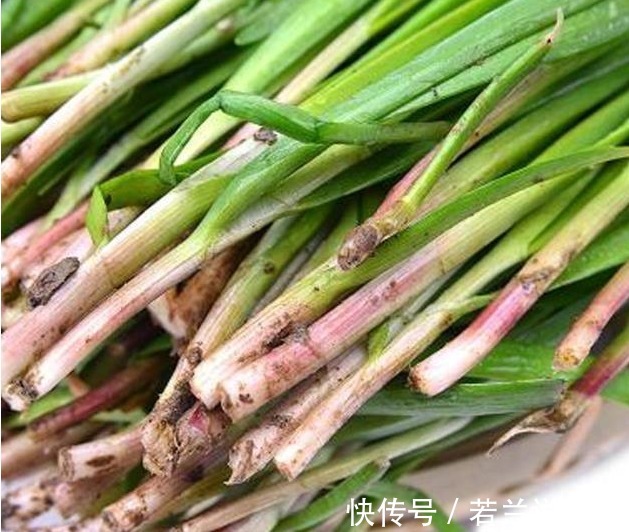 买韭菜,宽叶、窄叶要分清,二者差别大,牢记3不买,轻松买好菜