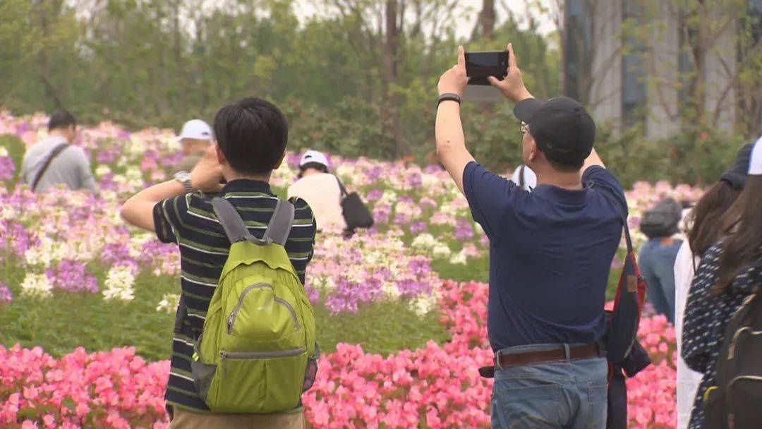 浪漫之旅|花博会开幕在即，来看“网红”打卡点，简直太美了！