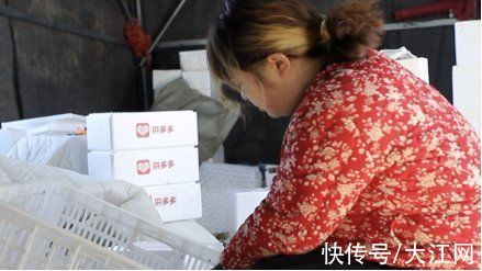 寿光蔬菜|浪漫爱情故事加持 “寿光蔬菜礼盒”成虎年新年货