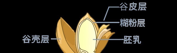 中国人吃的白米饭,其实是“最差的主食”?原来这么多年都吃错了