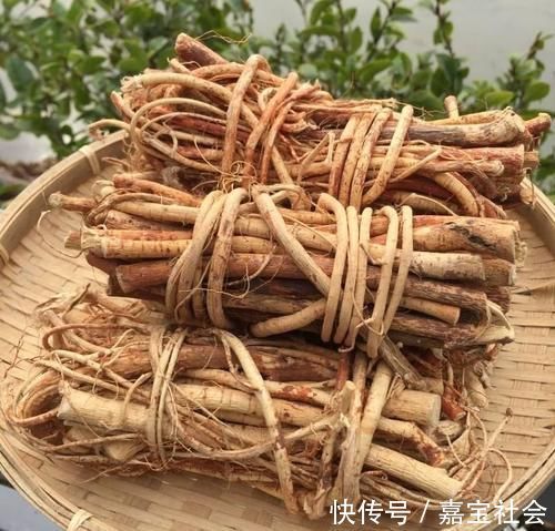 食用价值|只知道果子味道甜好吃,却不知根茎才是好货,钙含量是牛奶7倍!