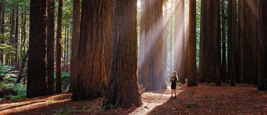 五菱神车MINI带回家|11.6大卫地板万众瞩木（第四季）| 于大卫