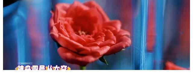 時代少年團|楊迪好煩？多次“嫌棄”時代少年團的他，不再是歡樂喜劇人？