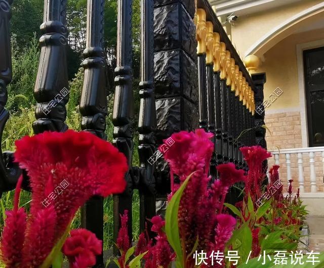 图纸|别拿一层不当别墅!5个真实案例,告诉你在农村建一层别墅有多爽