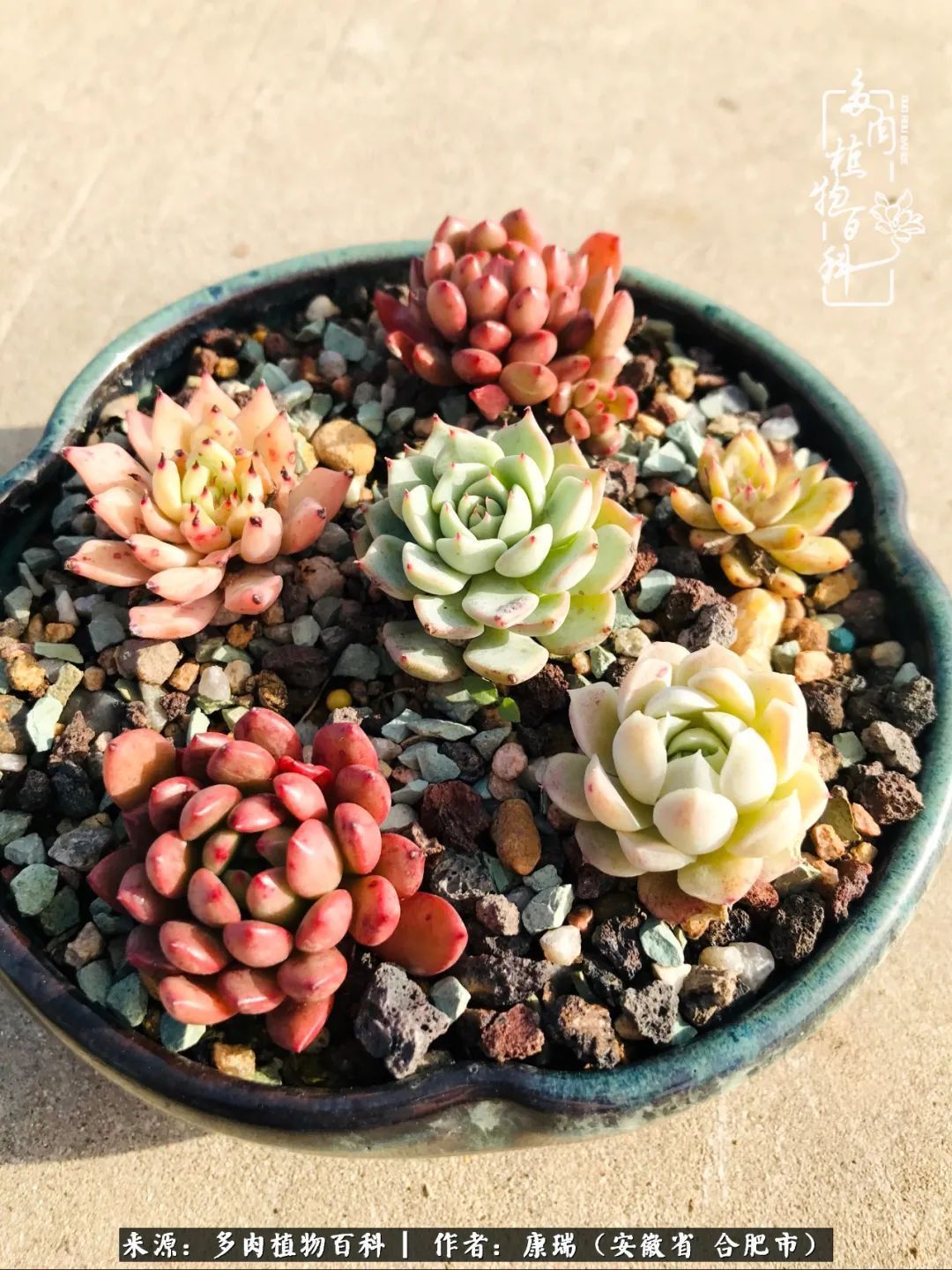 养肉之路,道阻且长,累的是身体,净的是心灵!