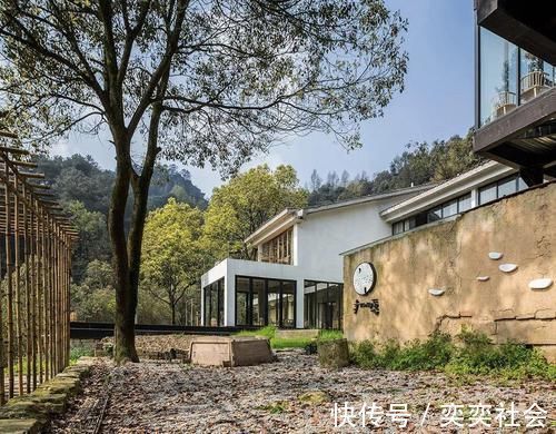 草木|他归隐山林,租了栋800㎡废弃三合院,改造后,却让网友羡慕不已