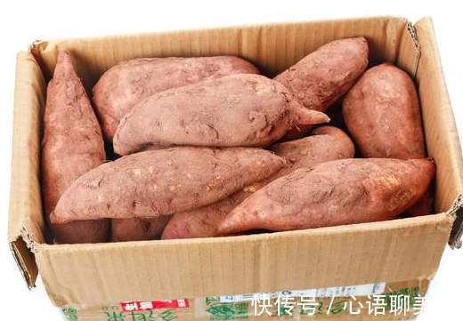 保存红薯,直接放地上是错的,教你一招,半年都不坏,越放越香甜