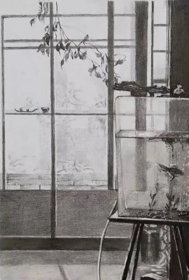 纸本炭笔|赏析中央美术学院2020届基础部素描作品欣赏