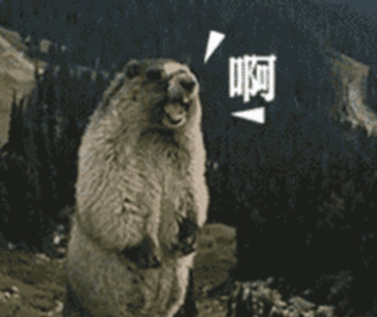 不知|明清的皇帝吃些什么?明朝吃土拨鼠,清朝竟不知牛肉为何物?