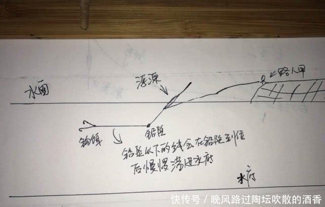 新手|飞铅钓,一个让你夏季渔获翻倍的钓法,建议新手收藏