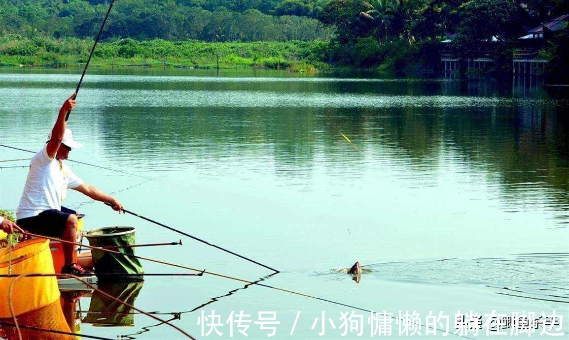 秋天鱼反而难钓不了解鱼的“套路”,鱼再多你也钓不到
