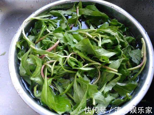 马兰头|女性推荐常吃3种食物,可消除色斑,润泽肌肤,美容养颜