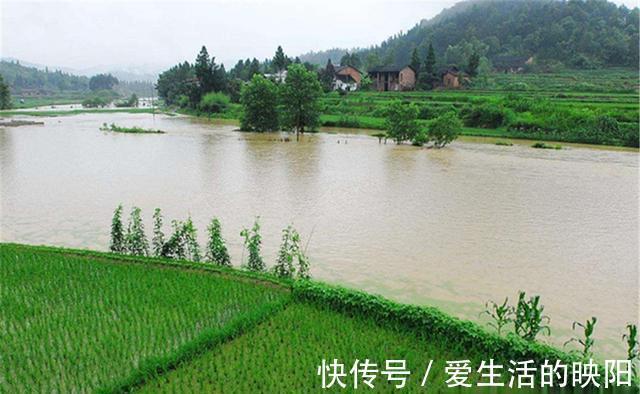 上涨|盛夏时节多大雨，雨后水位上涨是爆护良机，钓涨水鱼用这种钓法