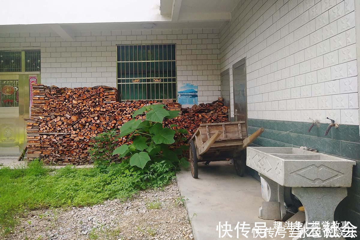 回家|山村楼房装修豪华,门前堆满柴火,2个儿子3年没回家