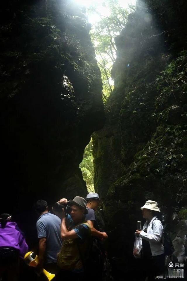 岩壁|探秘鬼斧神工的汉中“大屋基”地缝峡谷，秦巴深处的地质奇观