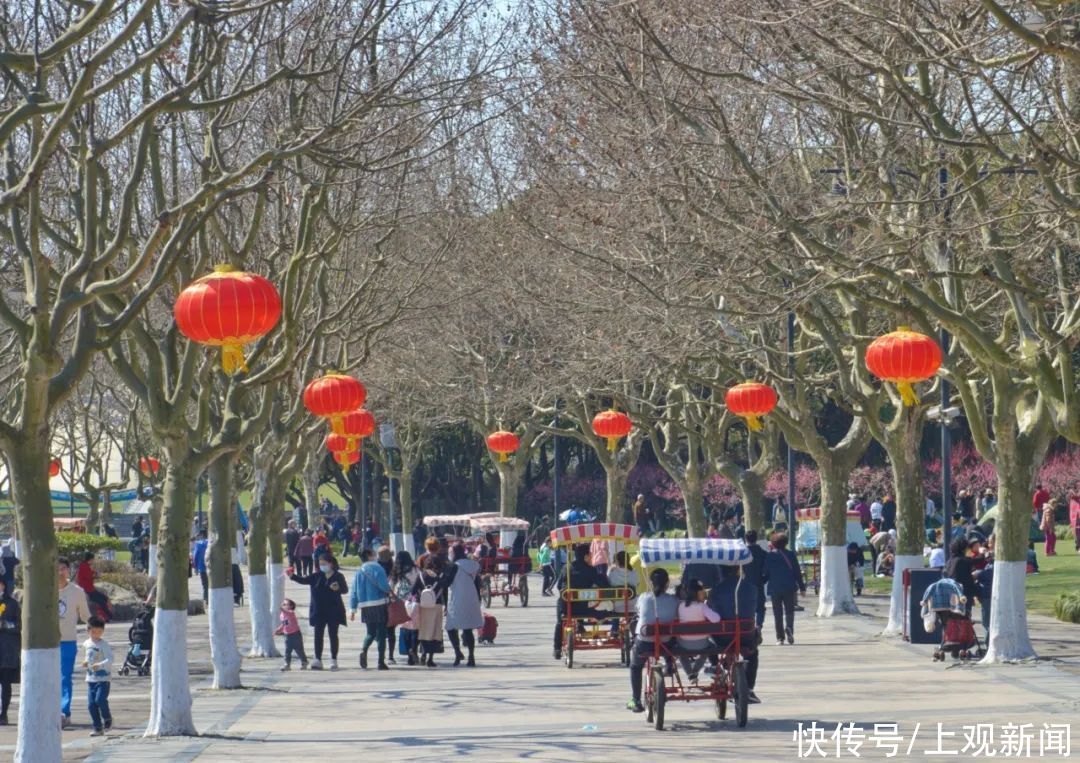 如潮|暖风吹，花香浓！节后首个休息日，世纪公园人气旺