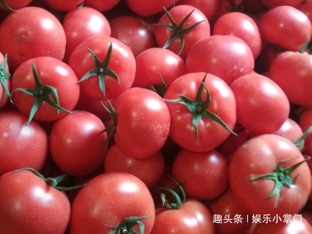 番茄红素|爱吃西红柿的要注意，西红柿不能和它一起煮，可别去自找麻烦