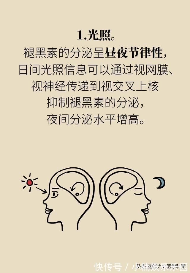 分泌|为啥失眠？因为不分泌褪黑素！为啥不分泌褪黑素？因为……