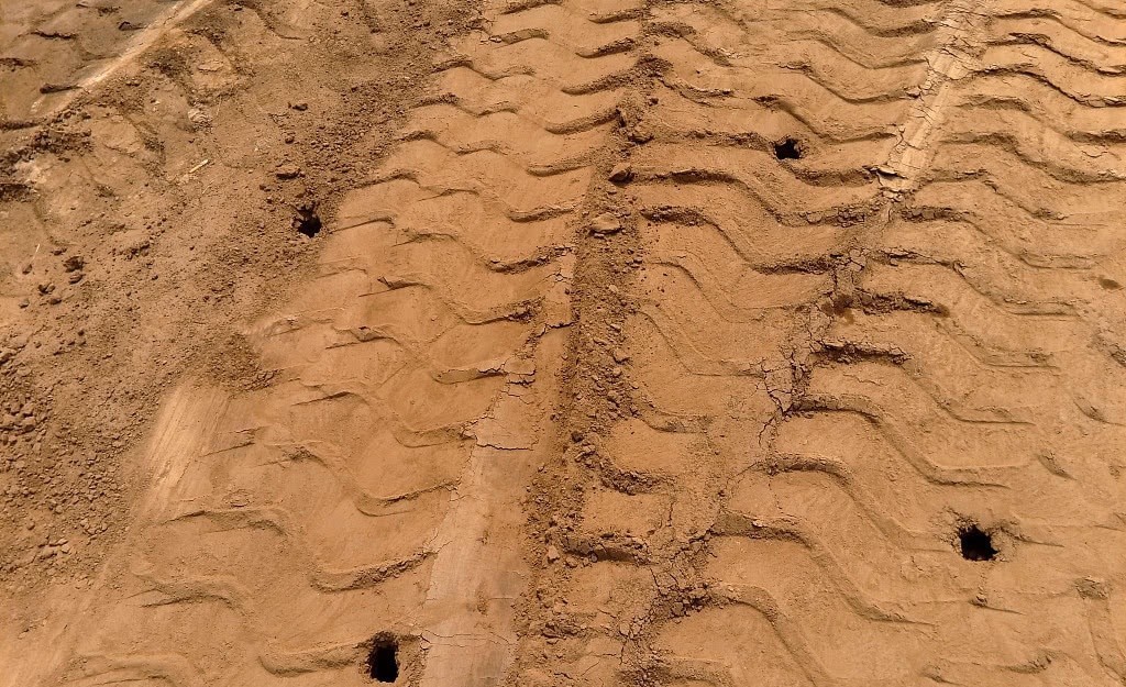 古墓|揭开商朝的神秘面纱,18座商朝古墓取出完整棺椁