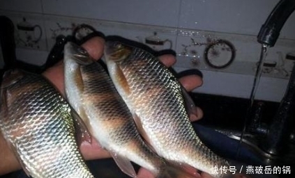 石爬子|四种比海鲜还鲜美的溪水鱼,价格动辄几百上千元,全吃过的人不多