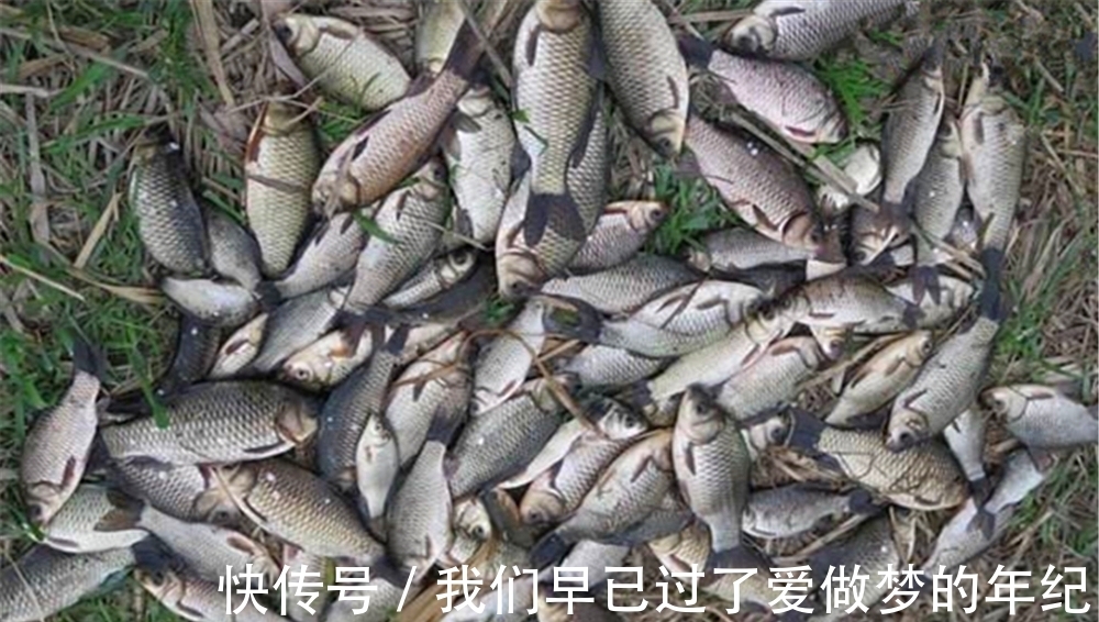 冬季钓鱼,4不宜3不钓,避开这些“坑”,冬钓再也不走空!