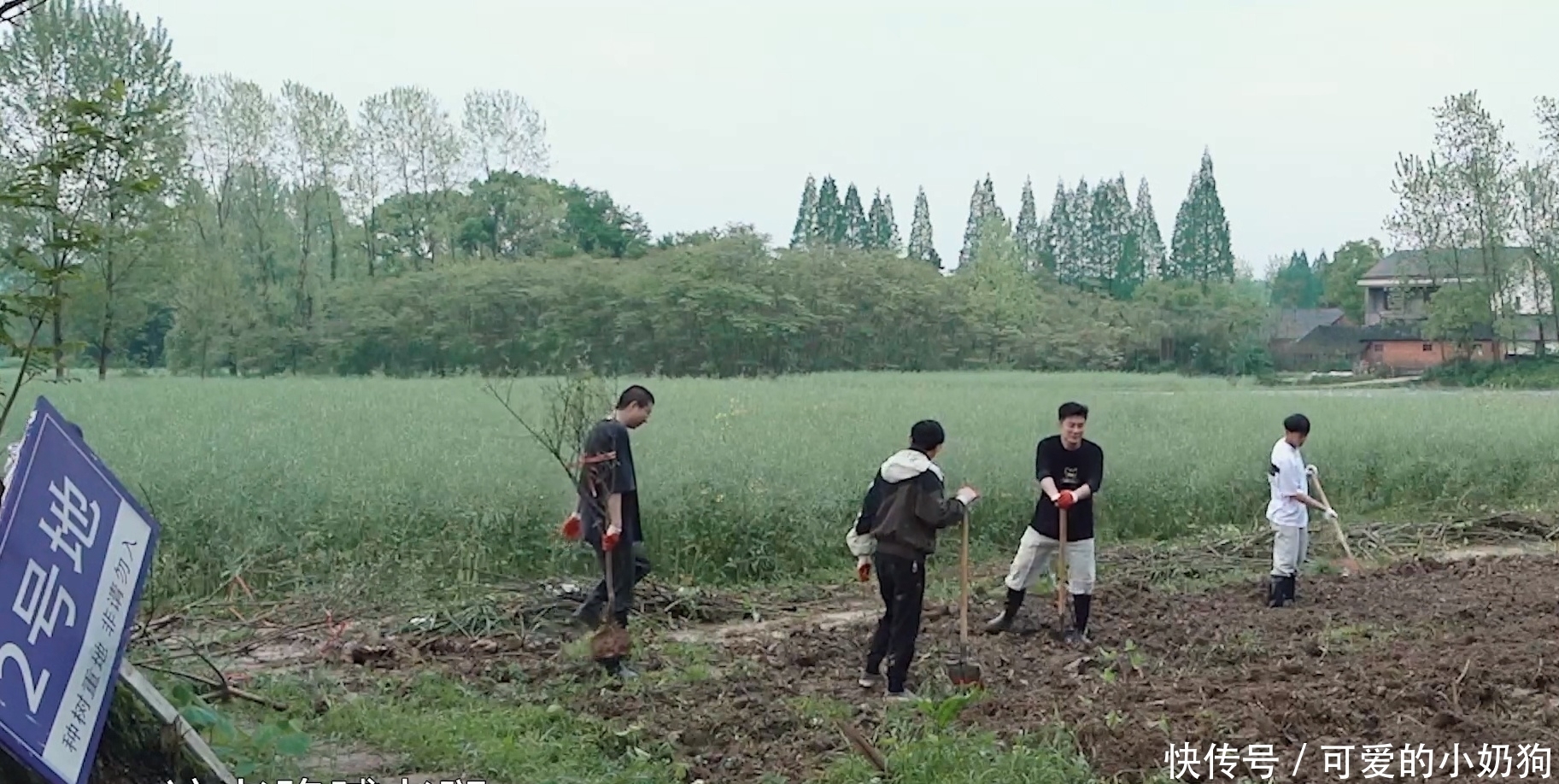 全程|李诞参加《向往的生活》第五季,全程除了喊累啥也不会