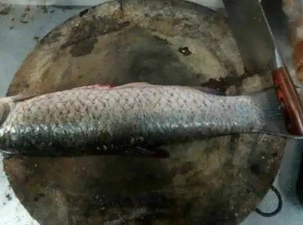 鱼肉片怎么上浆教你5分钟学会,鱼肉嫩滑无腥味好吃又美味