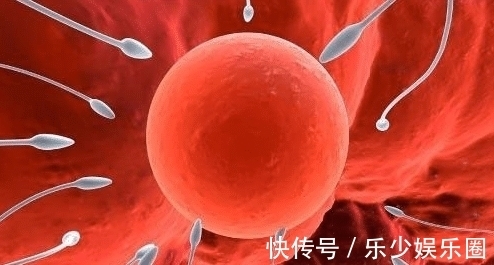 动作要领|男性的“精子”可以预防女性“妇科病”？这几个性知识，夫妻都应知道