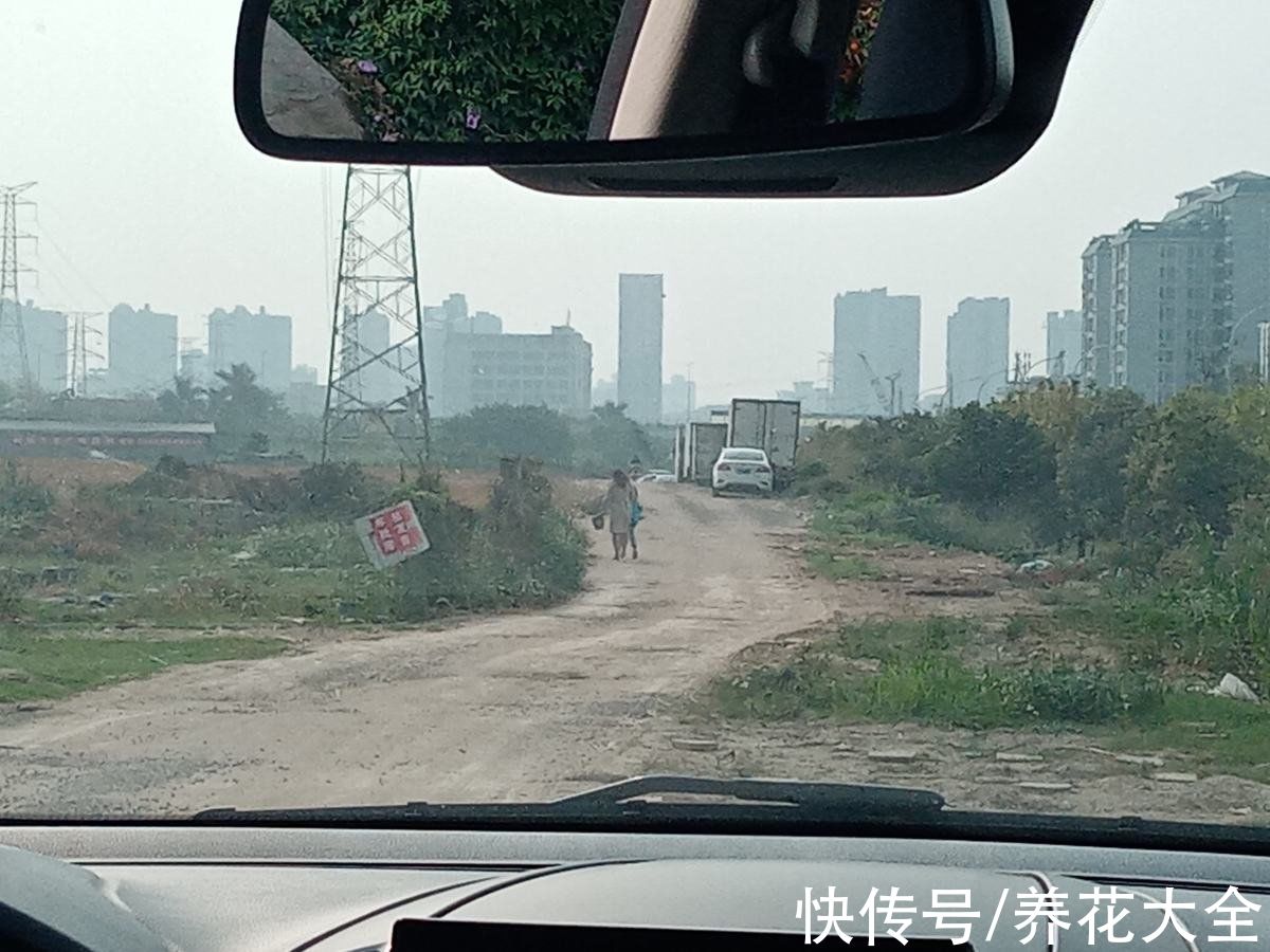 枯萎|找对地方捡花，买花钱能少一半，你都知道从哪捡花吗