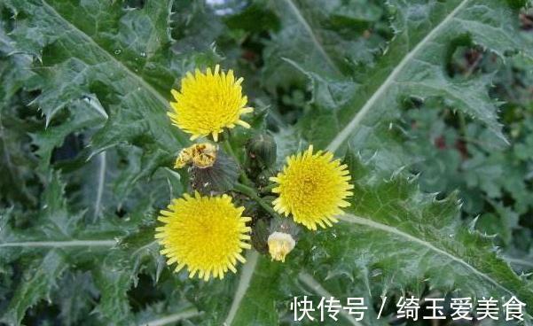 这草蛇见了就跑,人称“鬼都怕”,以前拿来喂猪,如今变富贵餐!