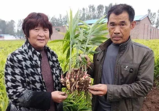  喝上一小碗|冬季，早上空腹喝“一物”，健脾胃、除湿气、提高免疫力~简单有效！